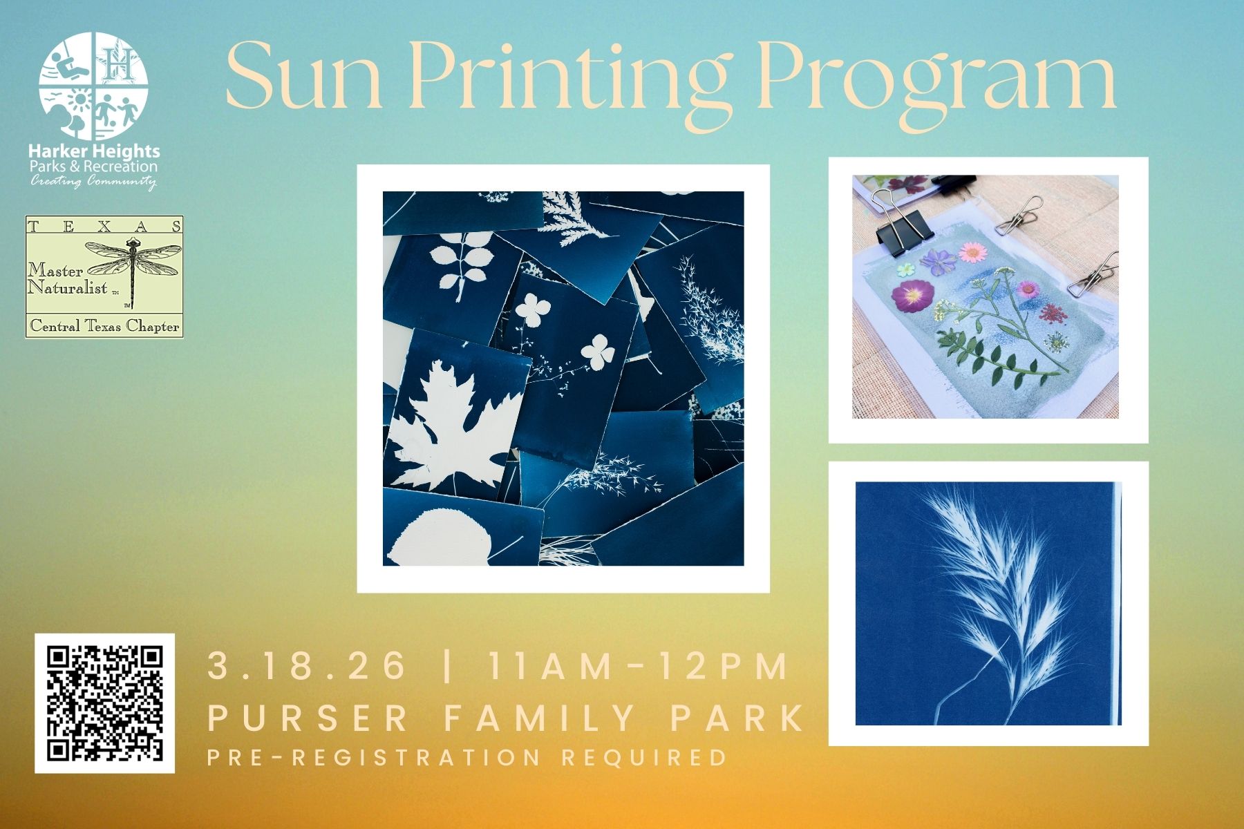 2026 sun printing