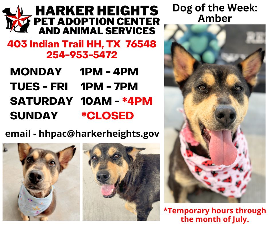 City of Harker Heights Pet Adoption Center