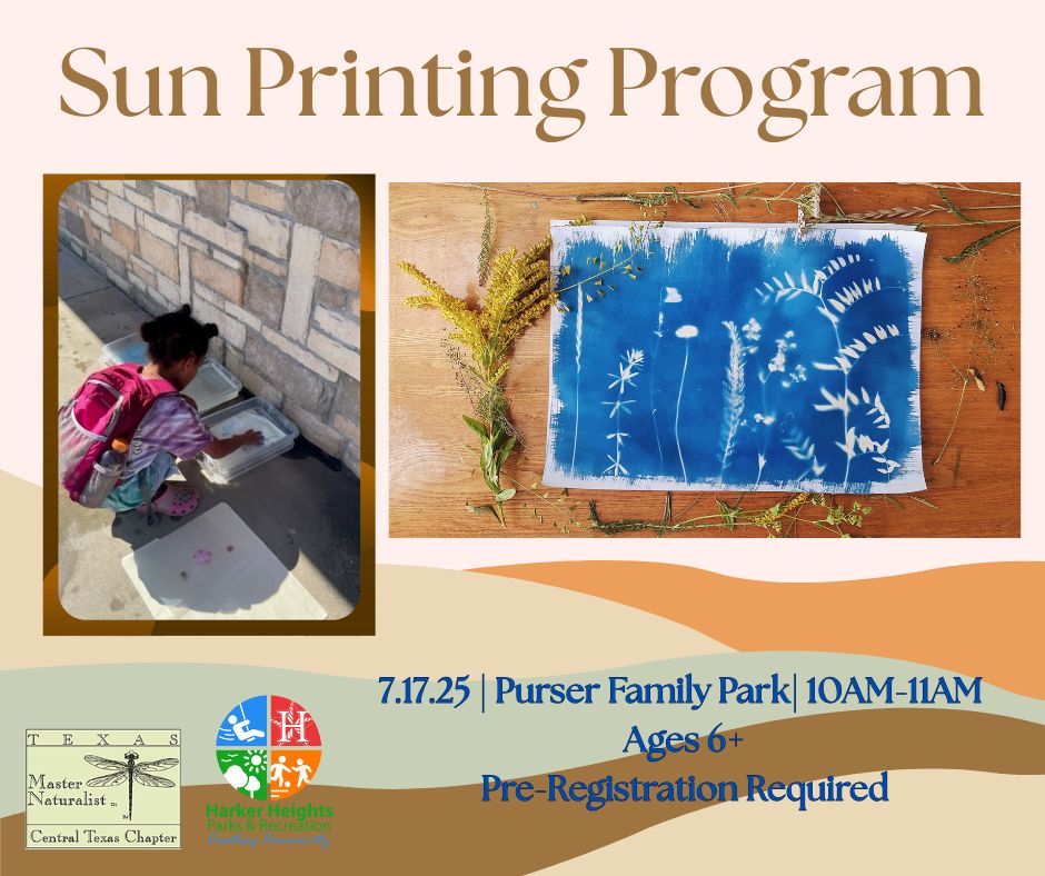 July Sun Printing