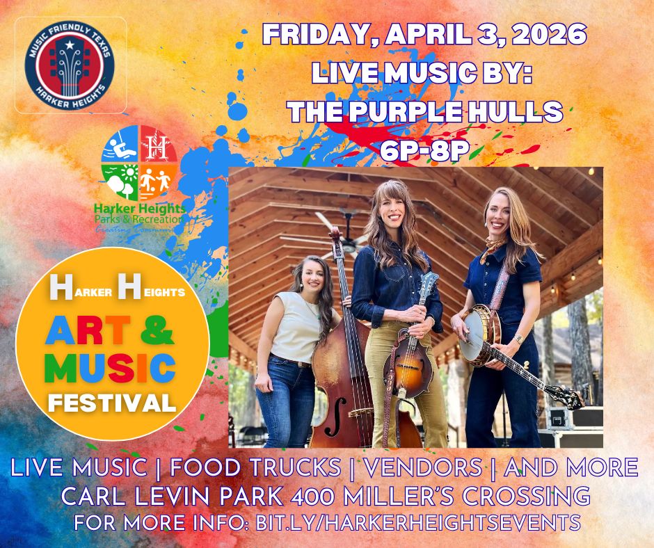 Art Music Festival Friday FB Post