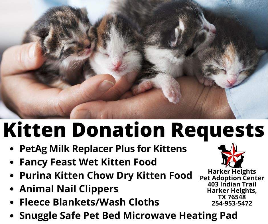 cat donations