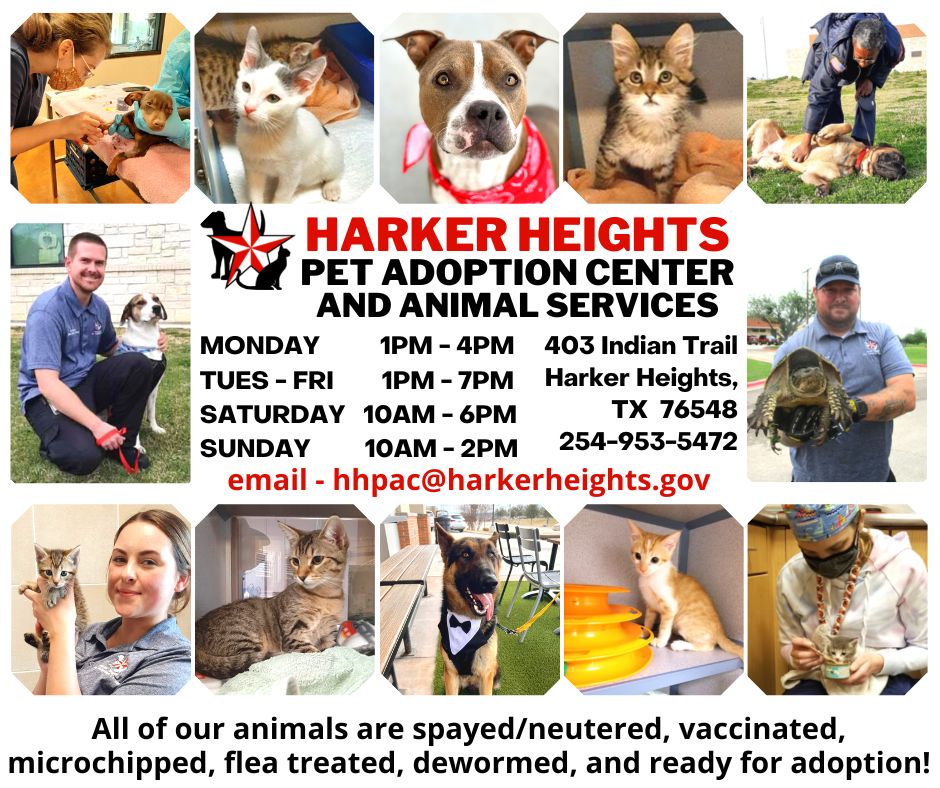 City of Harker Heights - Pet Adoption Center