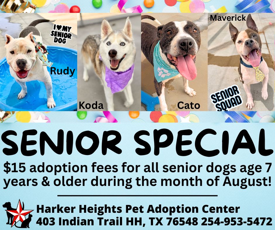 senior special